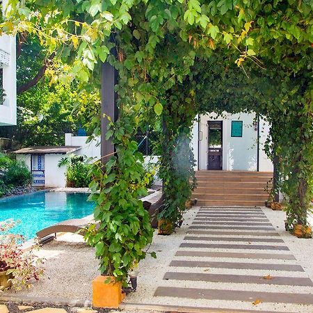 Apartment Santa Terra Кандолим Экстерьер фото